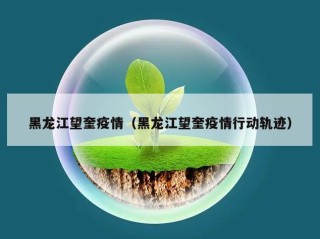 黑龙江望奎疫情（黑龙江望奎疫情行动轨迹）