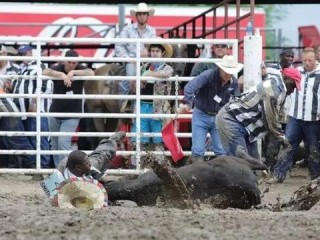网上斗牛赚钱绿色版V50.40.45.29ios版本-好用