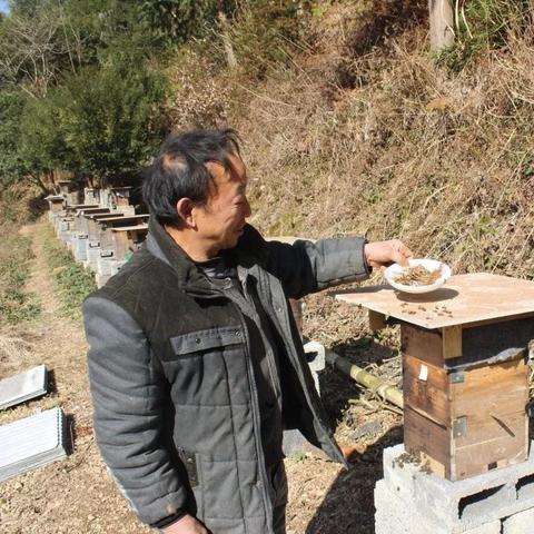 新门内资料和内部资料内容详解绿色版V78.26.224.61安卓系统版本-推荐
